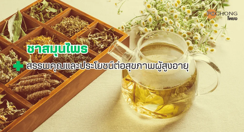 ชาสมุนไพรเป็นเครื่องดื่มที่มีประวัติยาวนานและเป็นที่นิยมทั่วโลก โดยเฉพาะในประเทศไทยที่มีความหลากหลายของสมุนไพรให้เลือกใช้ ชาสมุนไพรไม่เพียงแต่มีรสชาติหอมอร่อย ยังอุดมไปด้วยสารอาหารและสรรพคุณทางยาที่เป็นประโยชน์ต่อสุขภาพ