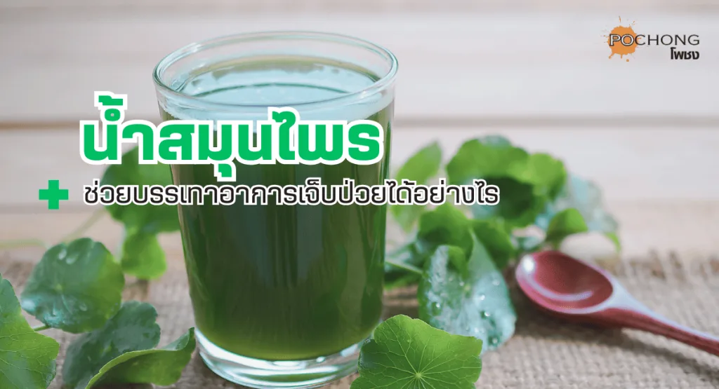 น้ำสมุนไพร : ช่วยบรรเทาอาการเจ็บป่วยได้อย่างไร