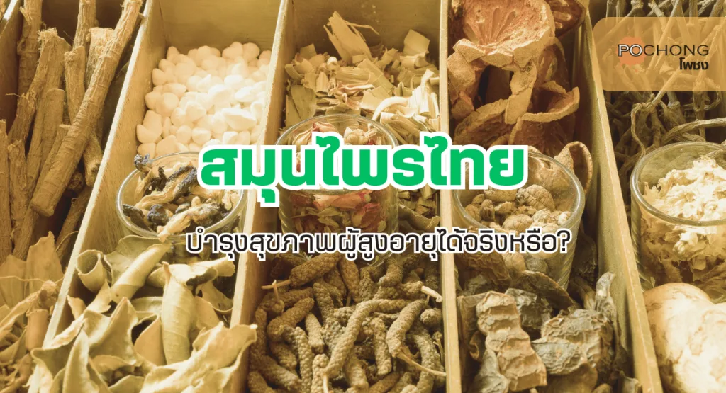 สมุนไพรไทยเป็นภูมิปัญญาของบรรพบุรุษที่สืบทอดกันมาช้านาน มีสรรพคุณทางยาที่หลากหลายและเป็นประโยชน์ต่อสุขภาพ