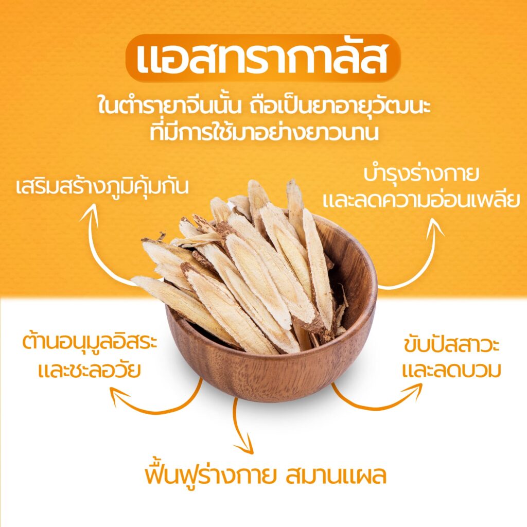 แอสทรากาลัส_pochong