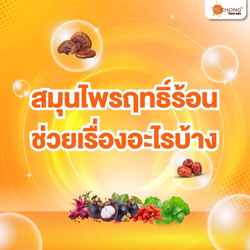 สมุนไพรฤทธิ์ร้อน